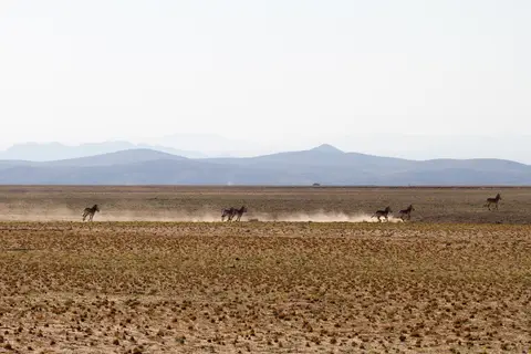 20160710-161651-IMG_8665.jpg