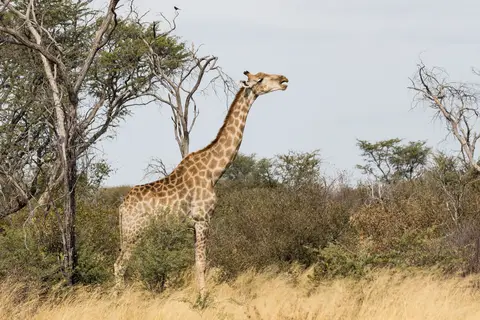 20180716-134348-7D3_3215.jpg