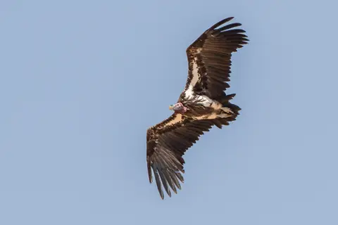 20180819-130834-LV6A5032.JPG