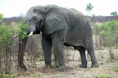 141.jpg