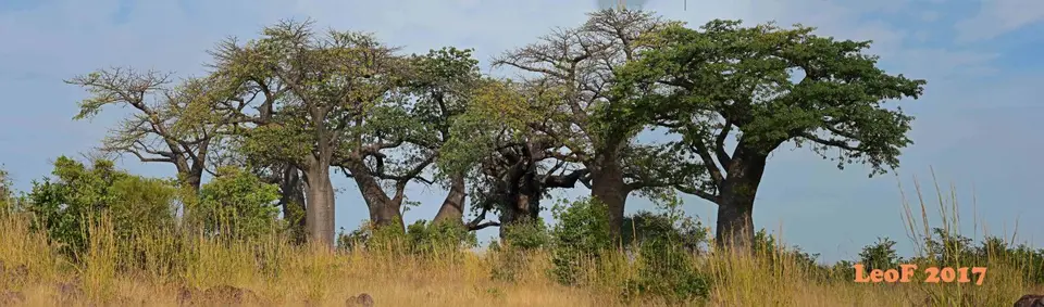 _SA1704_26090_720_5136_fo.jpg