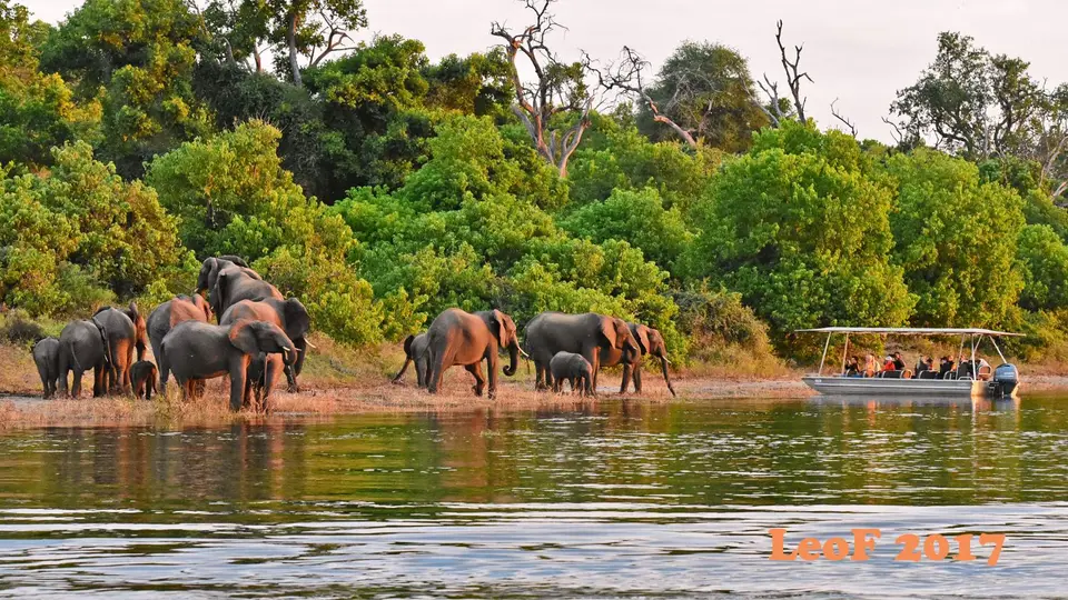 _SA1704_37400_720_6402.JPG