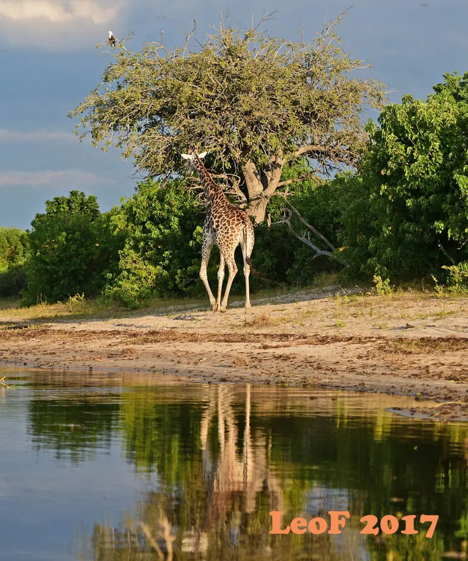 _SA1704_40660_720_6915.JPG