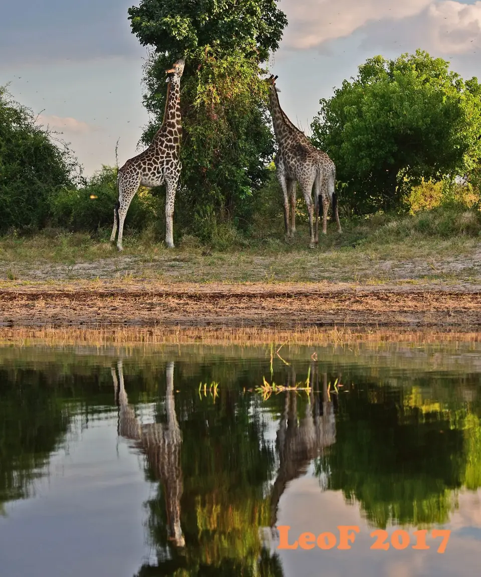 _SA1704_40690_720_6919.JPG