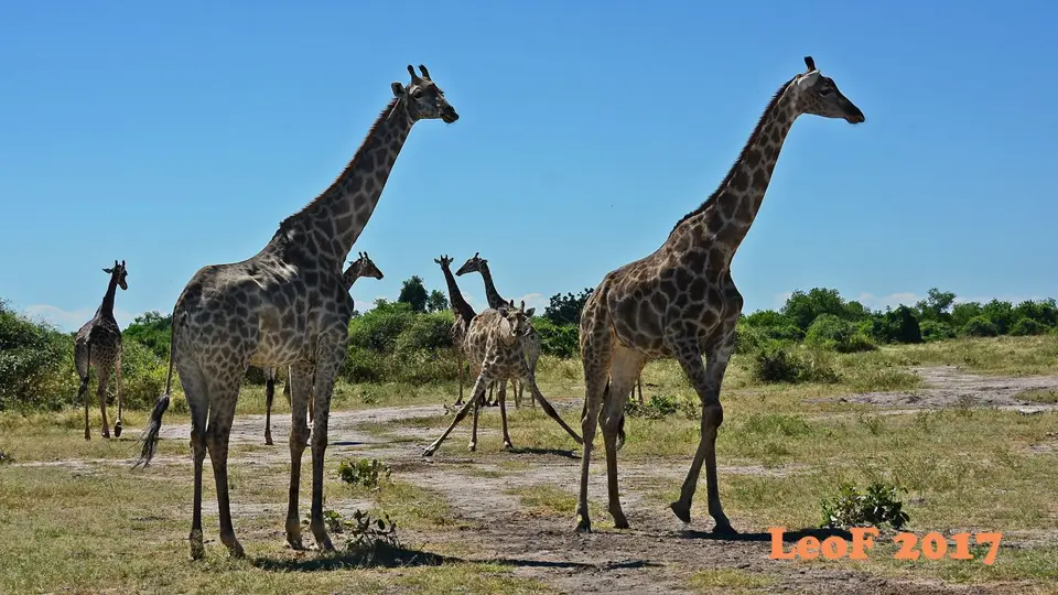 _SA1704_41700_710_3856.JPG