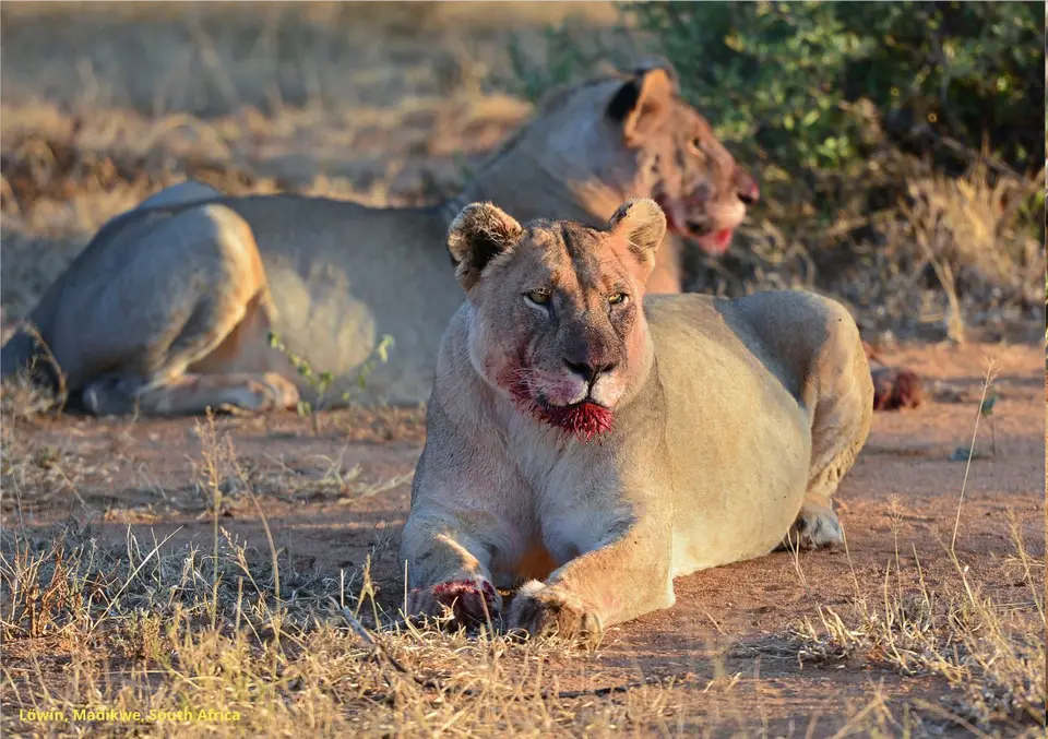 www_15_1059.jpg