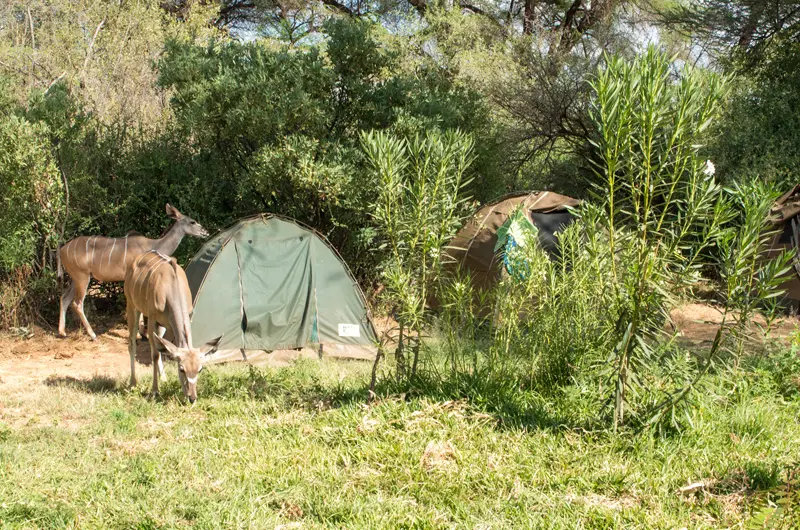 Samburu_Camp_1.jpg
