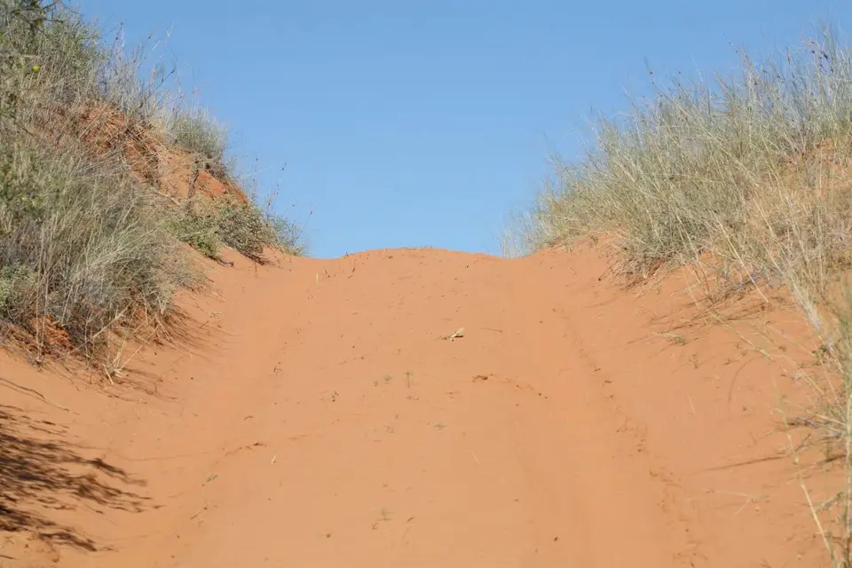 h6afcceb.jpg
