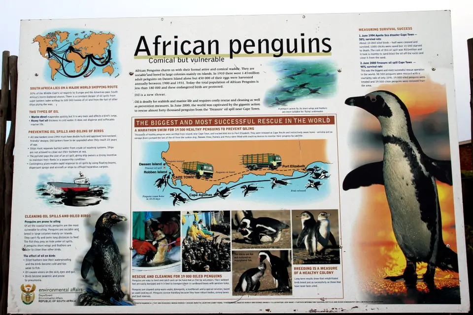 DPP_0031_Pinguintafel.JPG