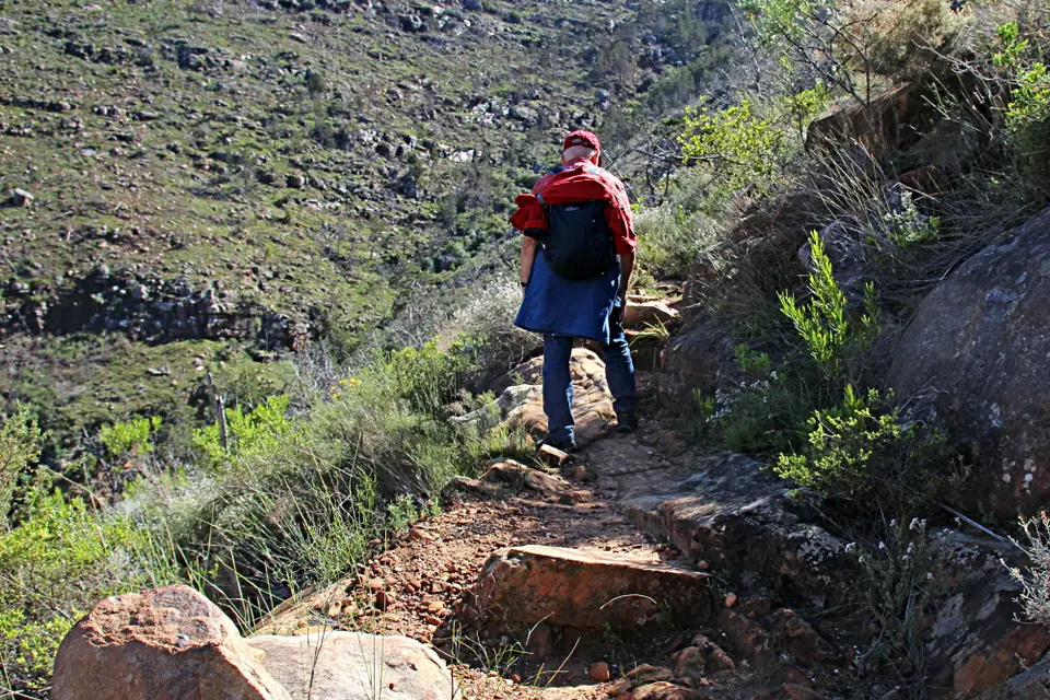 DPP_0104_Wanderer.JPG