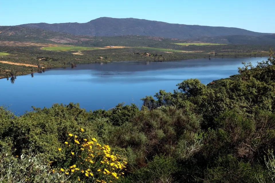 DPP_0128_ClanwilliamDam.JPG