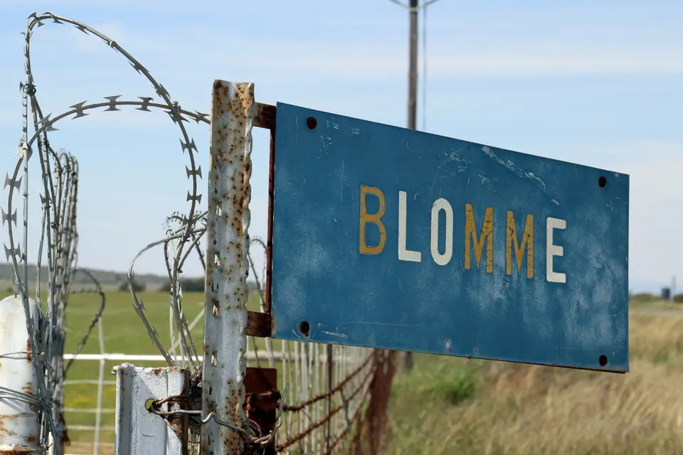 DPP_0172_Blomme.JPG