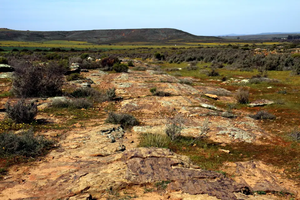 DPP_0185_GletscherRiefen.JPG