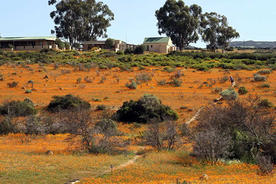 DPP_0198_InfoCenter.JPG