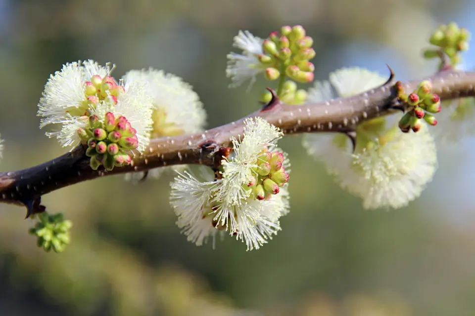 DPP_0218_Frühling.JPG