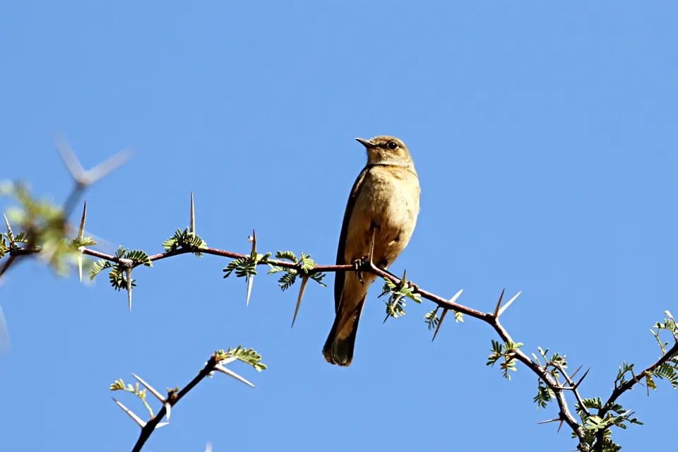 DPP_0395_NN8.JPG