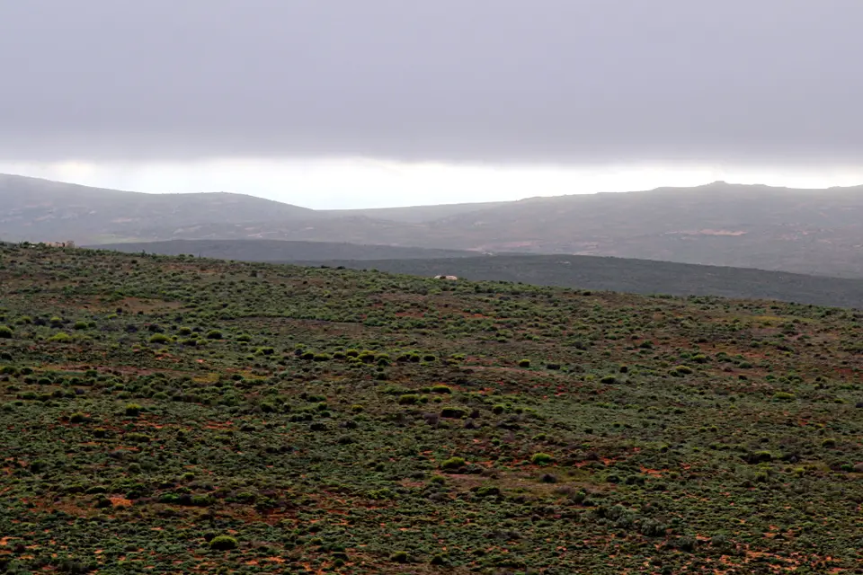 DPP_0453.JPG