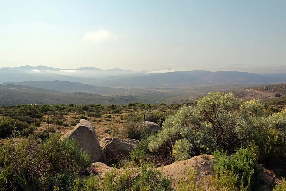 DPP_0455.JPG