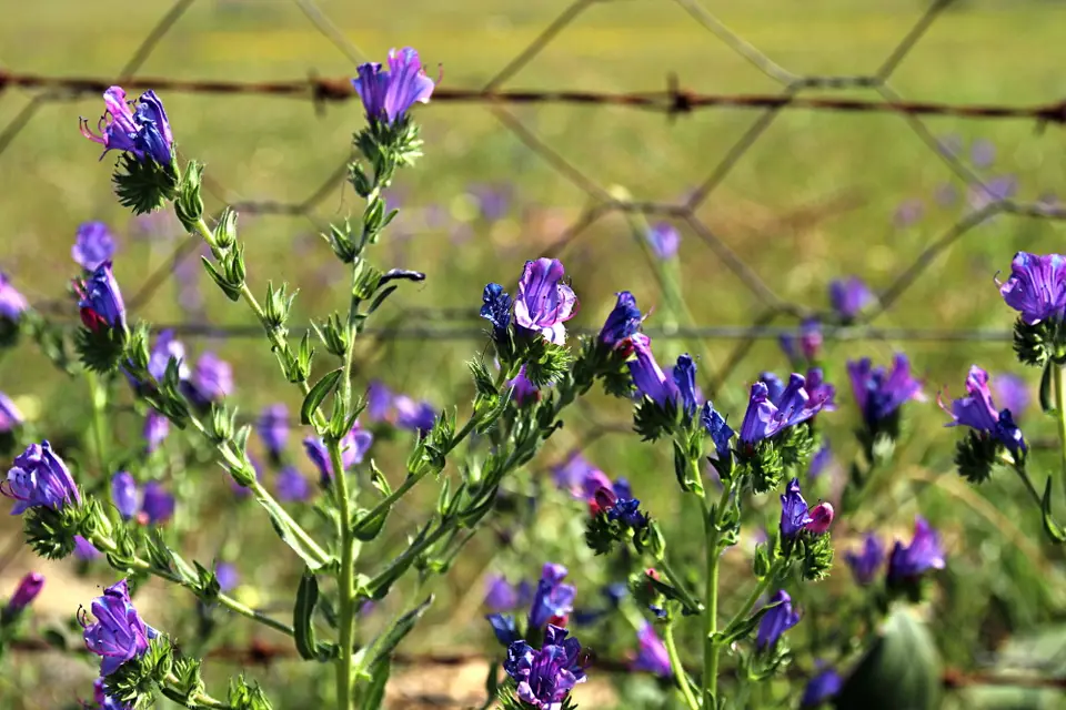 DPP_0526.JPG