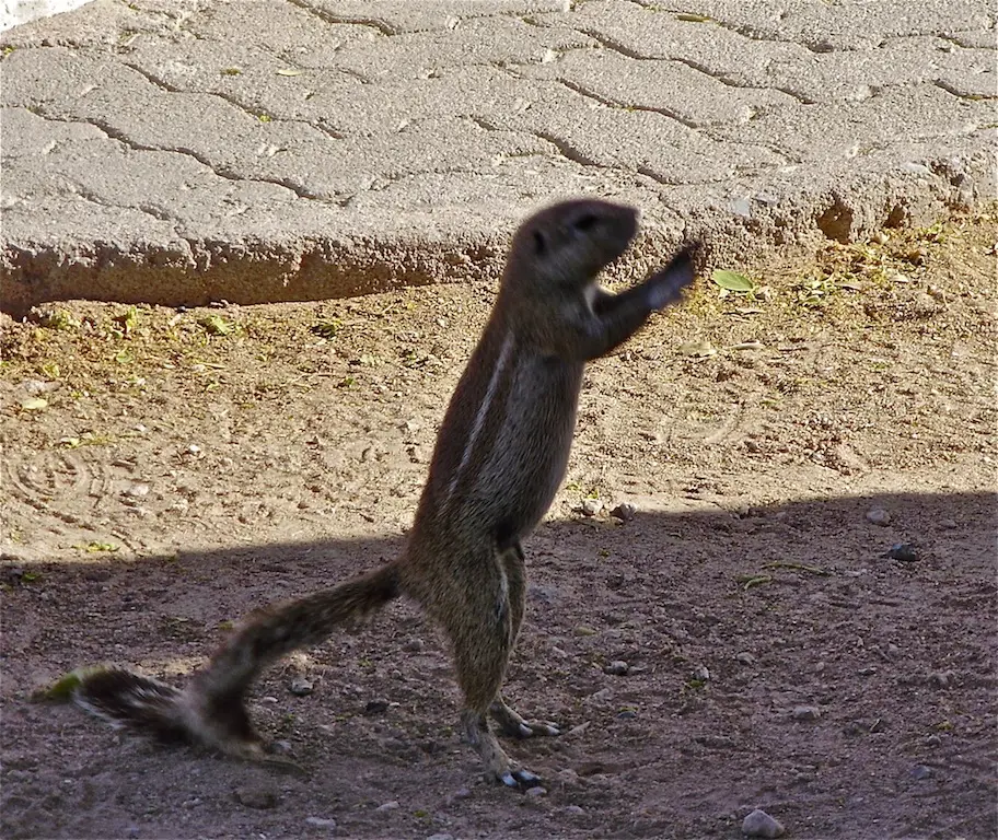 h10b8026.JPG