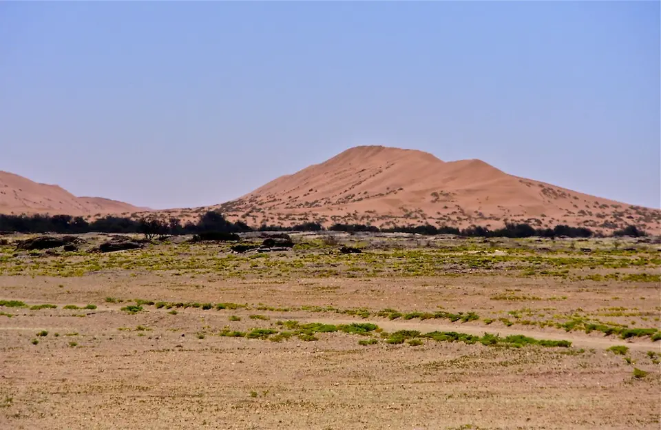 h30e6865.JPG