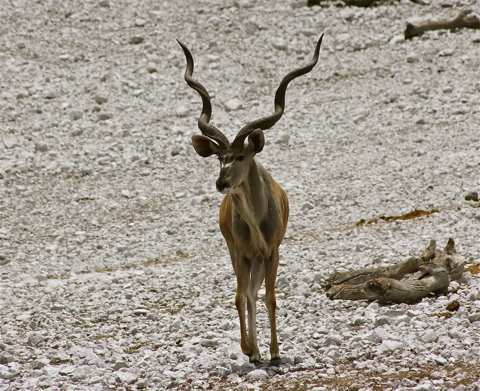 h5d40e98.JPG