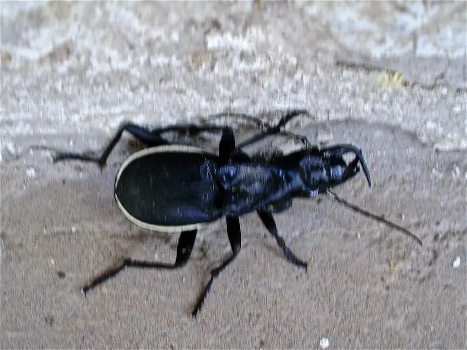 hc9a2283.JPG