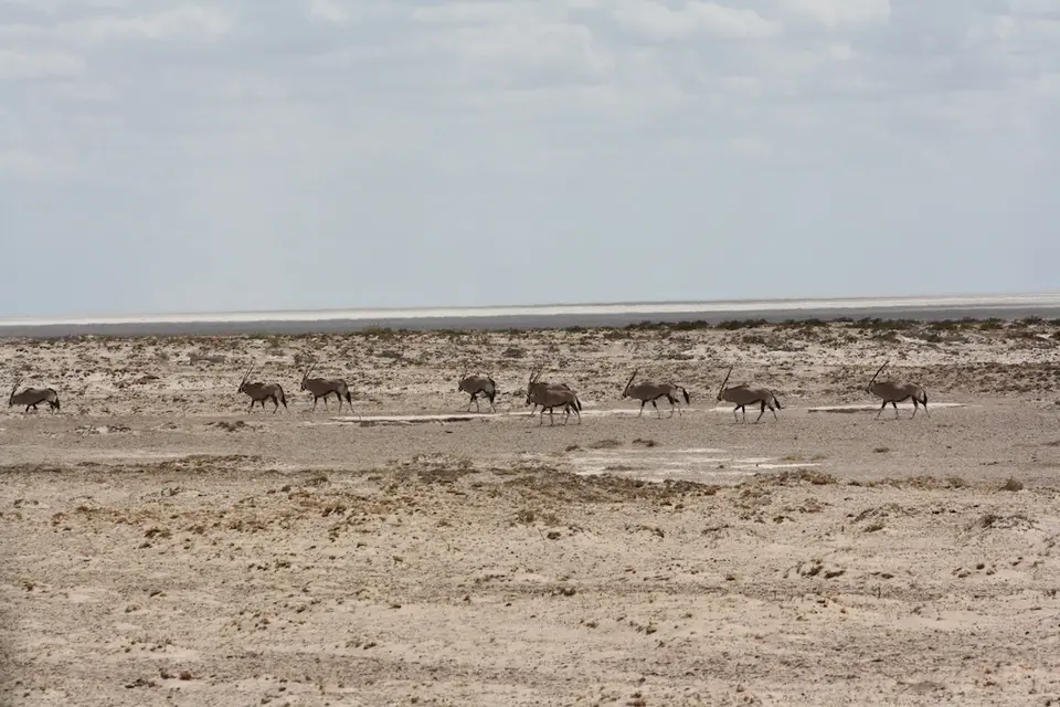 hcd42211.JPG