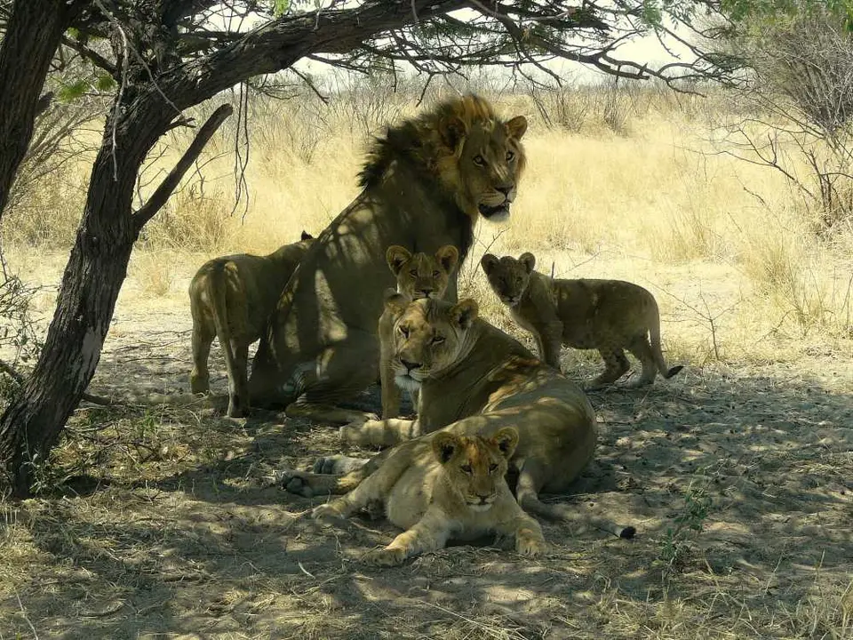 Botswana2011126.JPG