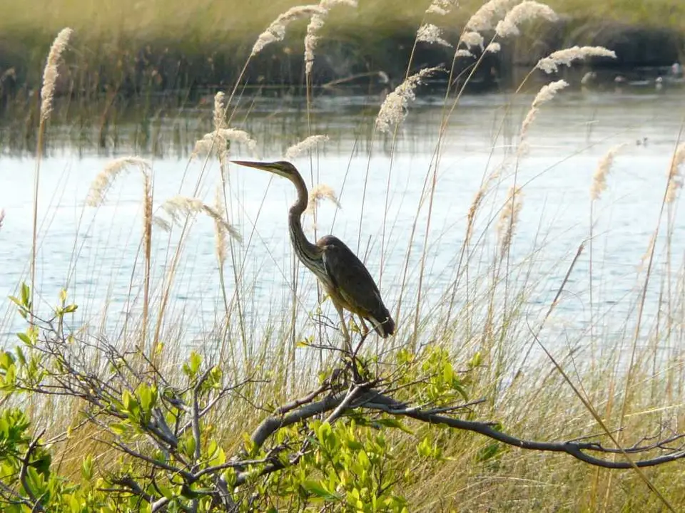 Botswana2011Anhang5.jpg