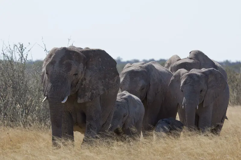 Namibia12-015.jpg
