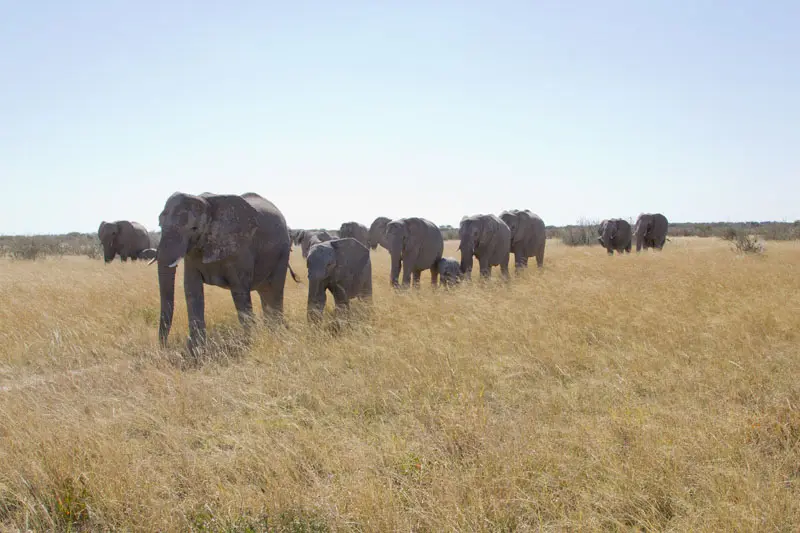 Namibia12-016.jpg