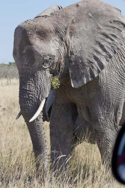 Namibia12-017.jpg