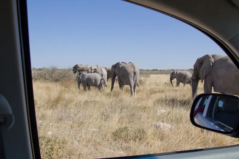 Namibia12-018.jpg