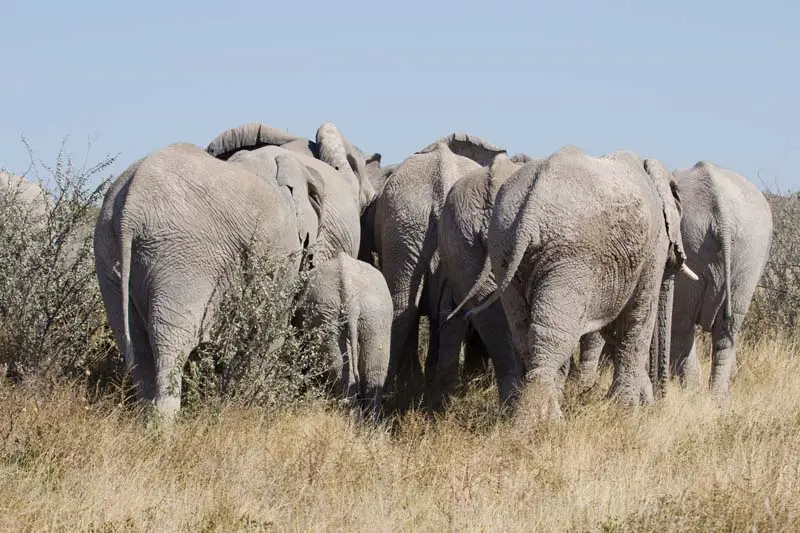 Namibia12-019.jpg
