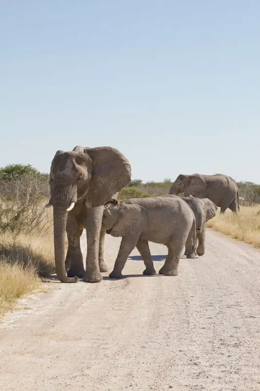 Namibia12-021.jpg