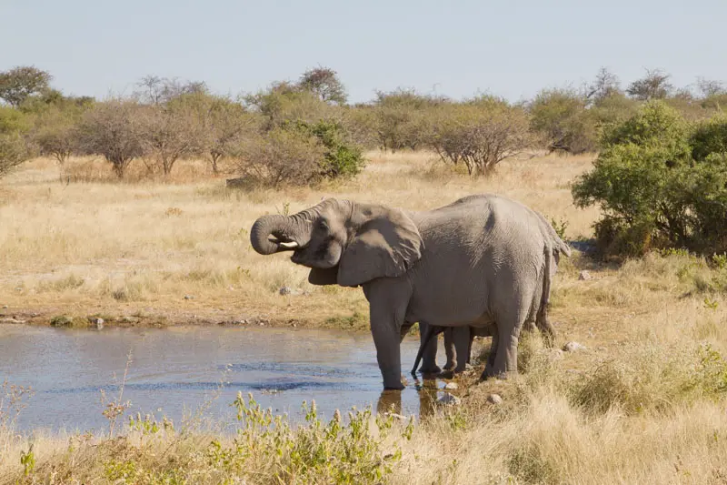 Namibia12-023.jpg