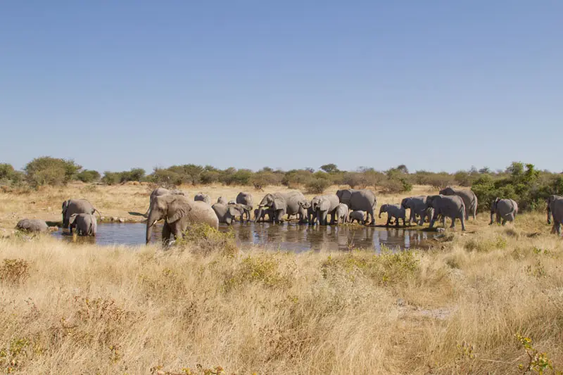 Namibia12-025.jpg