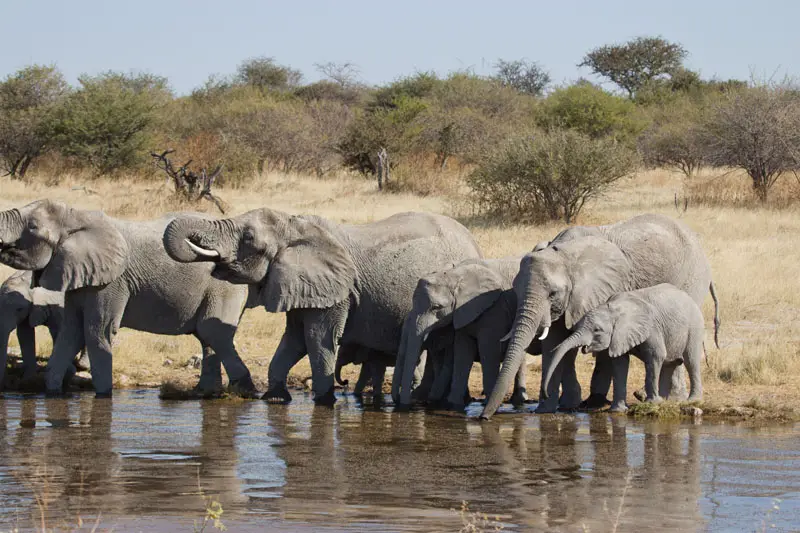 Namibia12-027.jpg