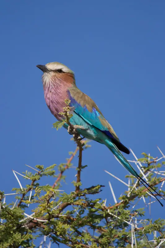 Namibia12-033.jpg