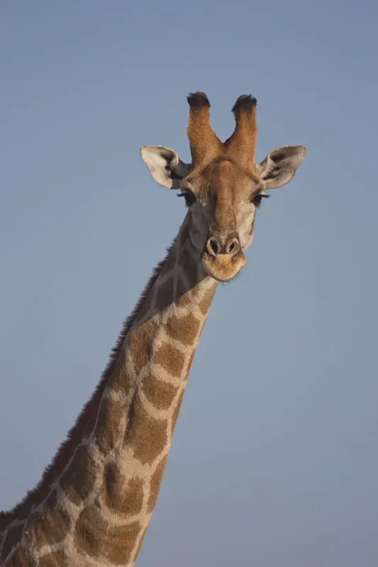 Namibia12-035.jpg