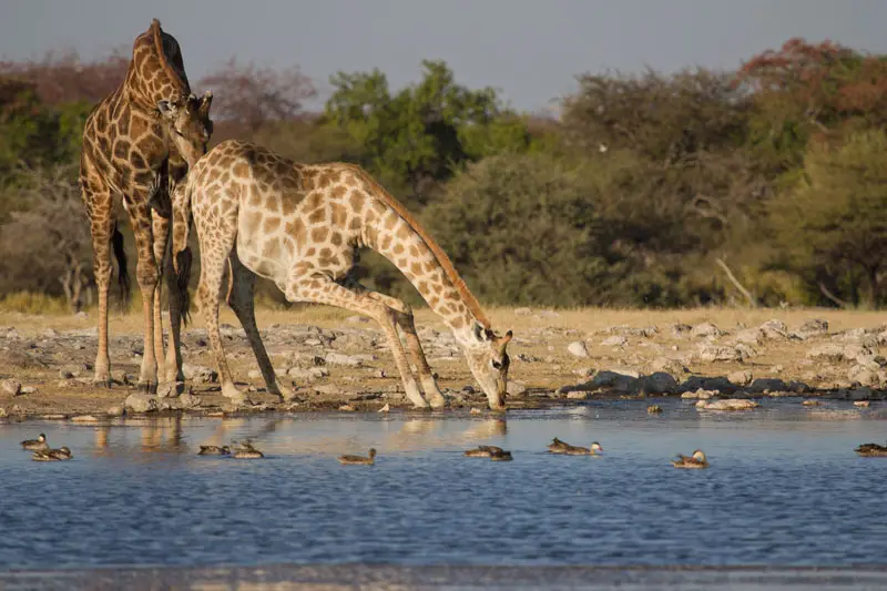 Namibia12-037.jpg