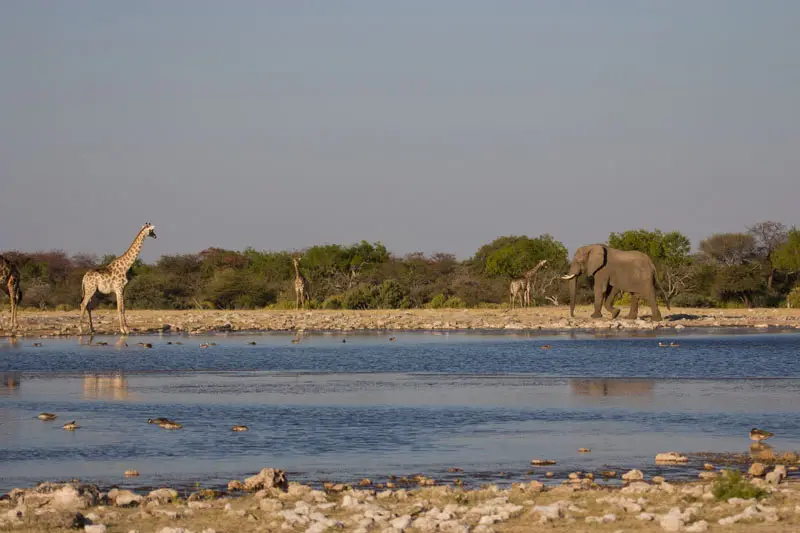 Namibia12-038.jpg