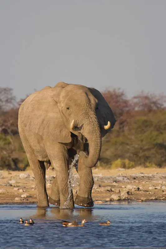 Namibia12-039.jpg