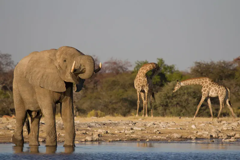 Namibia12-040.jpg