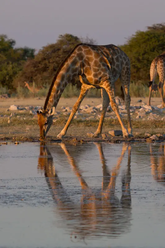 Namibia12-043.jpg