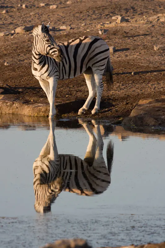 Namibia12-047.jpg
