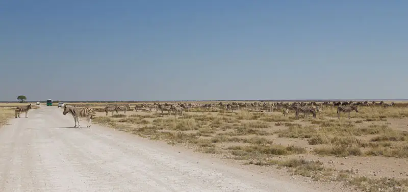 Namibia12-052.jpg