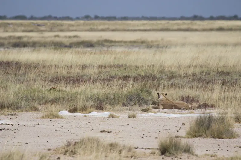 Namibia12-054.jpg