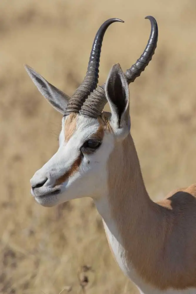 Namibia12-056.jpg